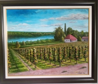 Vineyard at the Danube by Nadja