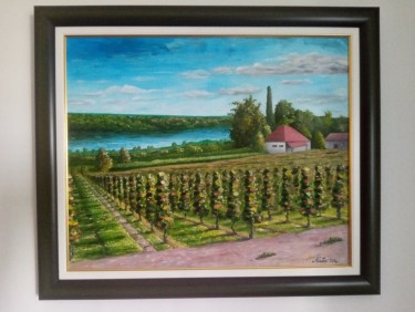 Vineyard at the Danube