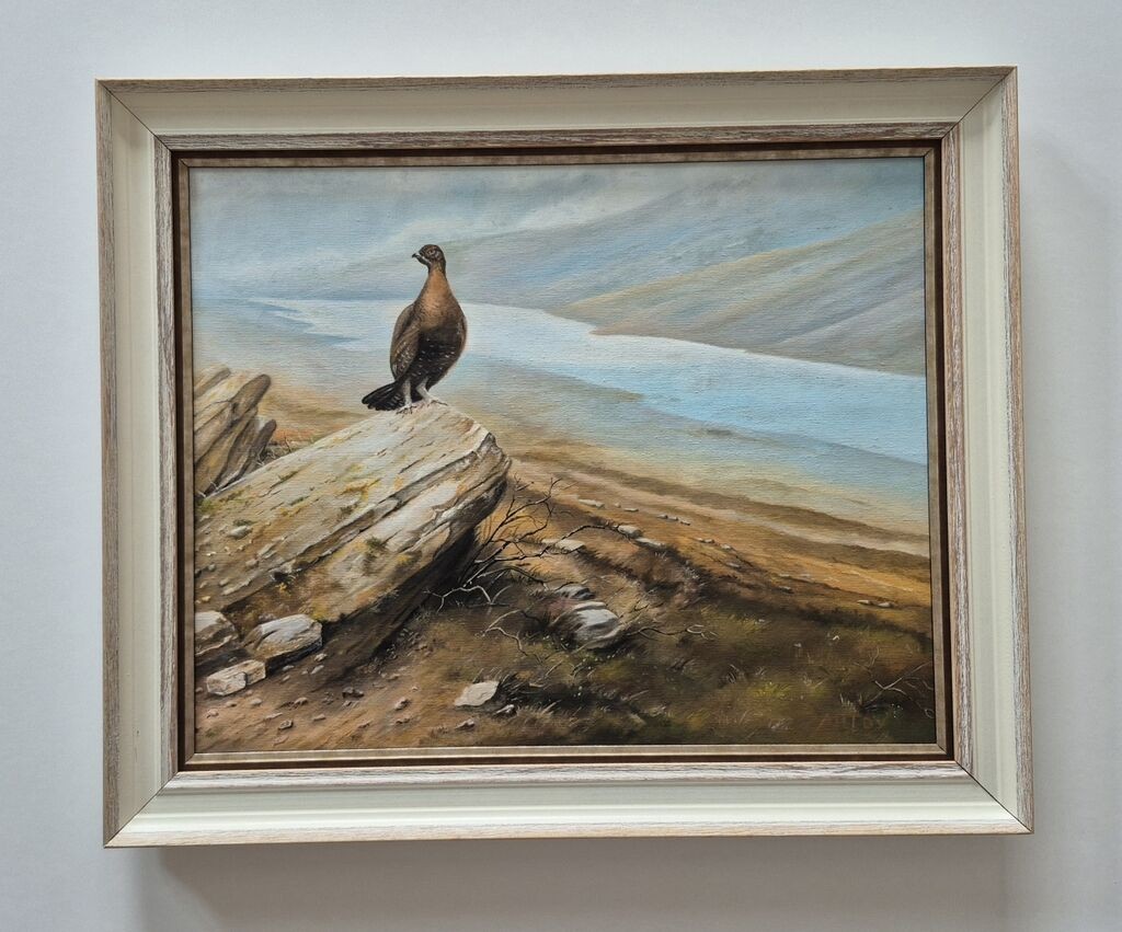 Oil on canvas - Pheasant, beautiful picture