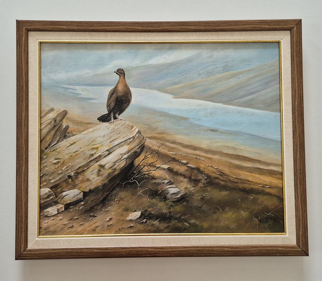 Oil on canvas - One pheasant, a beautiful picture