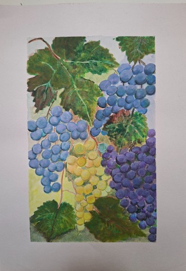 Grapes by Biljana Pejcic