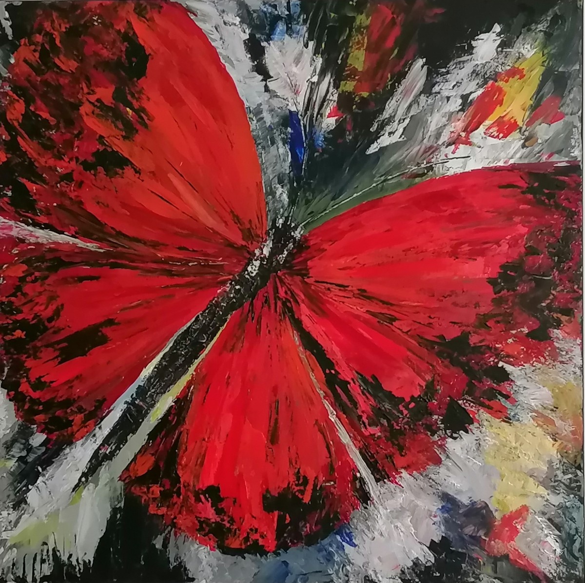 Red butterflay