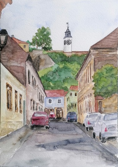 Petrovaradin by Zorica Bugarski