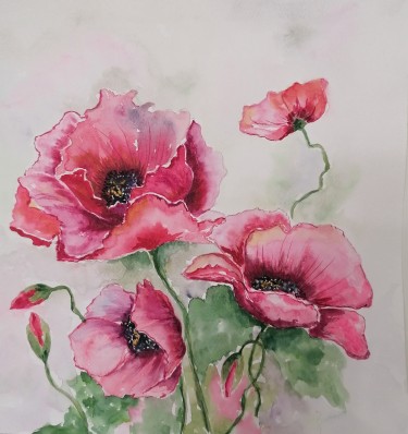 Poppies by Zorica Bugarski