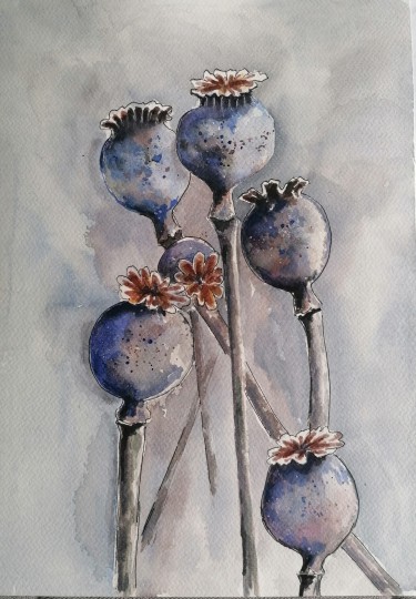 Poppies by Zorica Bugarski