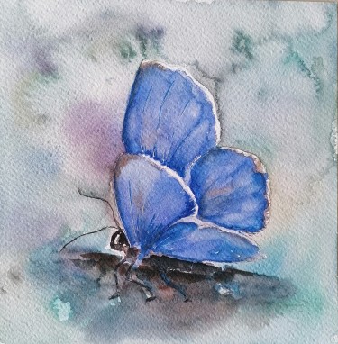 Butterfly by Zorica Bugarski
