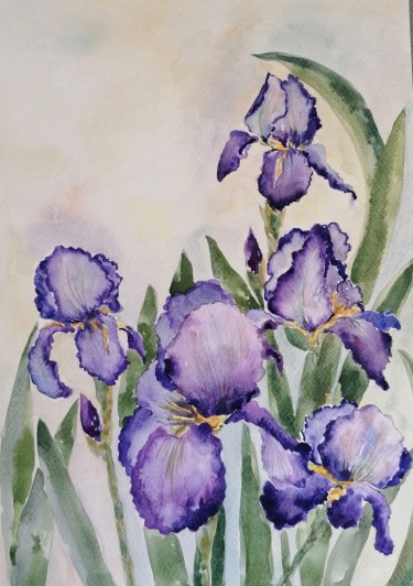 Irises