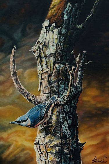 Little bird by Stevan Sucevic