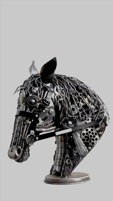 Black Beauty by Slobodan Orlović