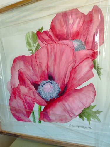Poppies by Jelena Dugandzija