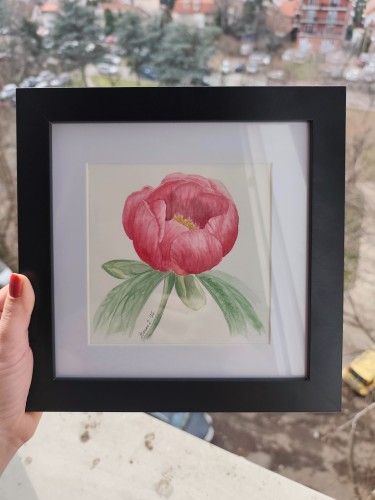 Peony flower by Jelena Dugandzija