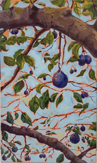 Happy plums by Katarina Vujnovic
