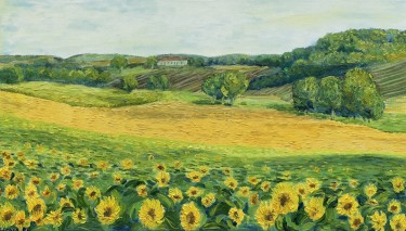 Solar fields by KSENIIA  Stafeeva