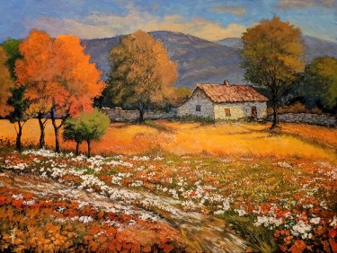 Under the copper sun of Herzegovina by Rade Grahovac