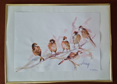 Sparrows by Jelena  Cvetkovic 