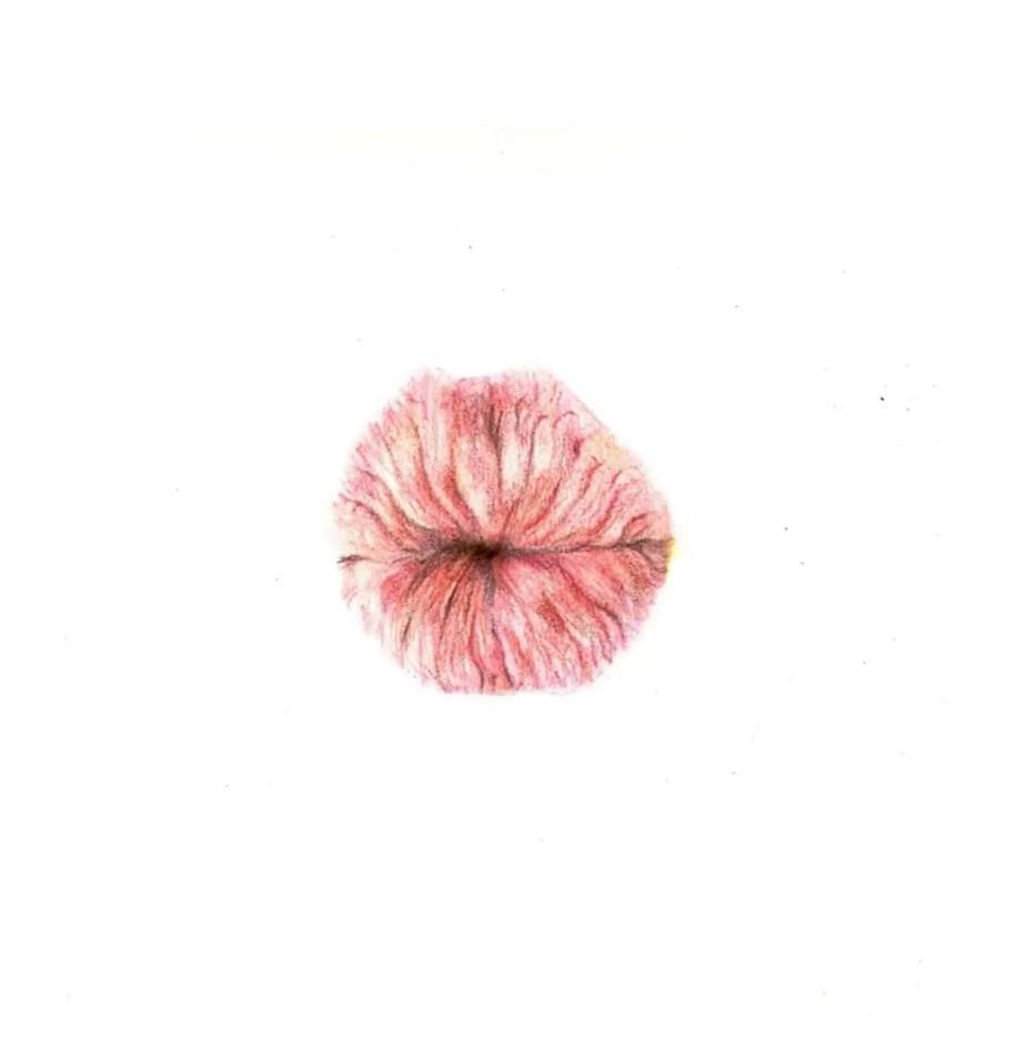 Pink gesture