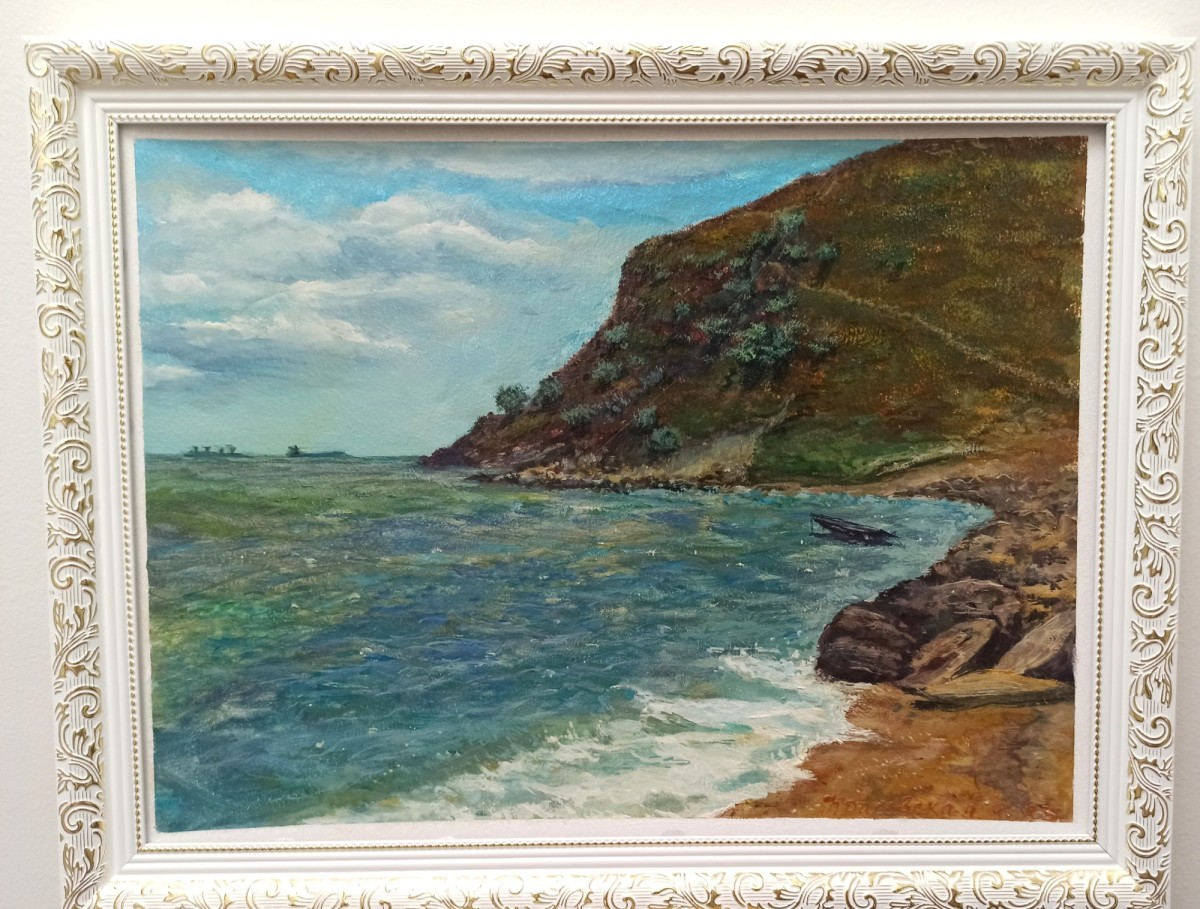 The Black Sea coast
