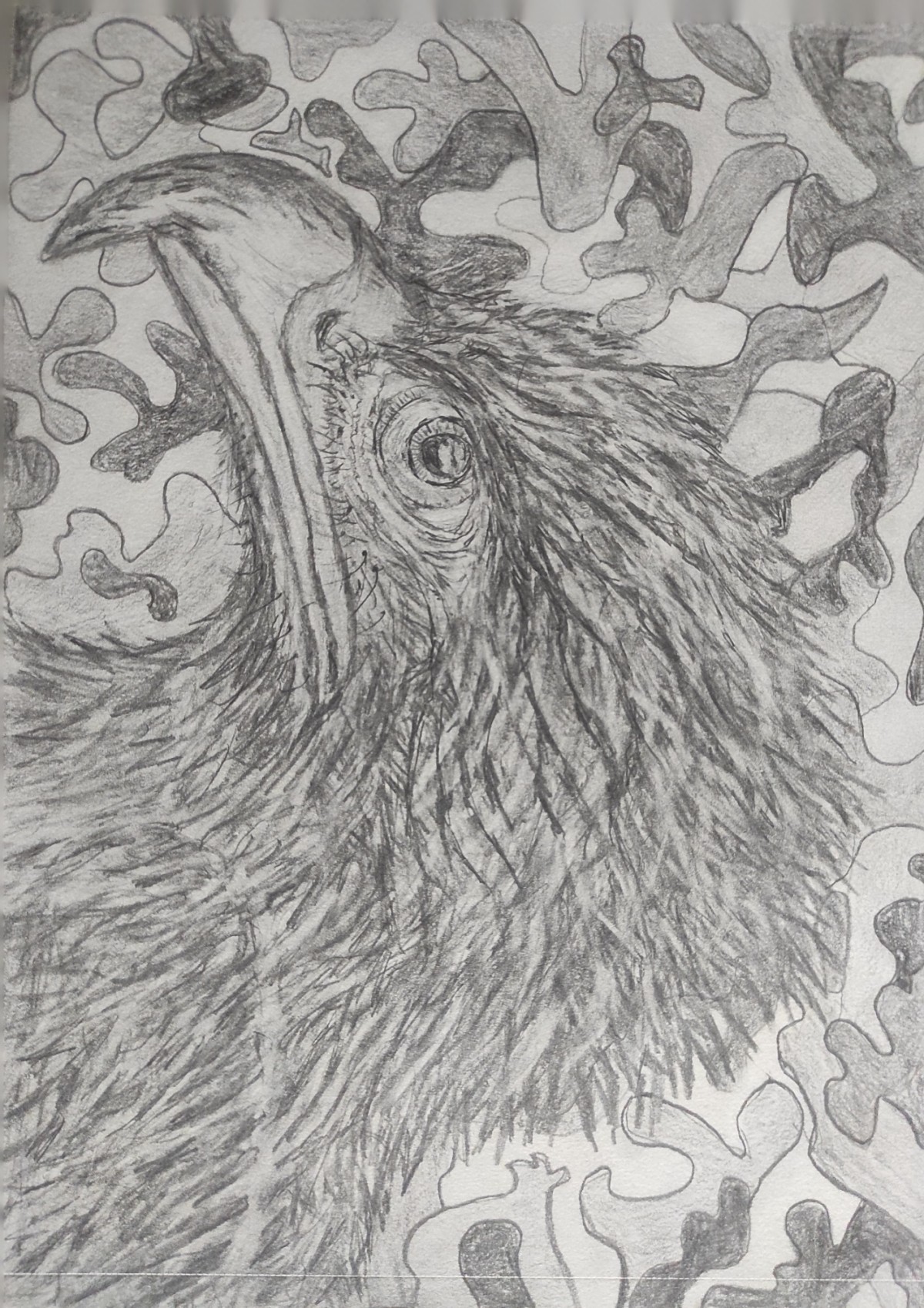 Eagle