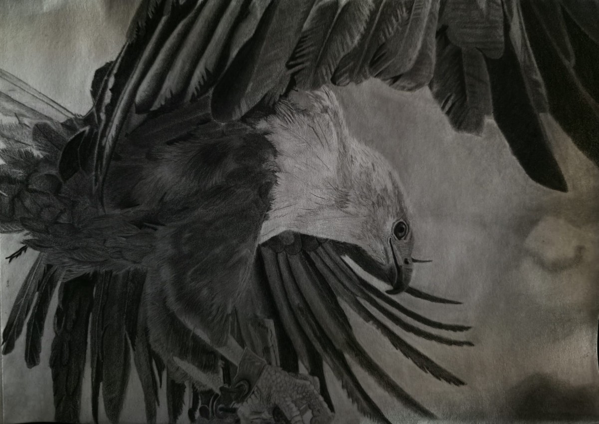 Eagle