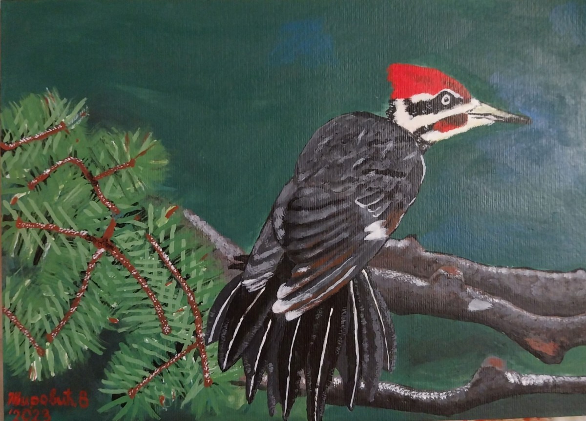 Woodpecker on a branch