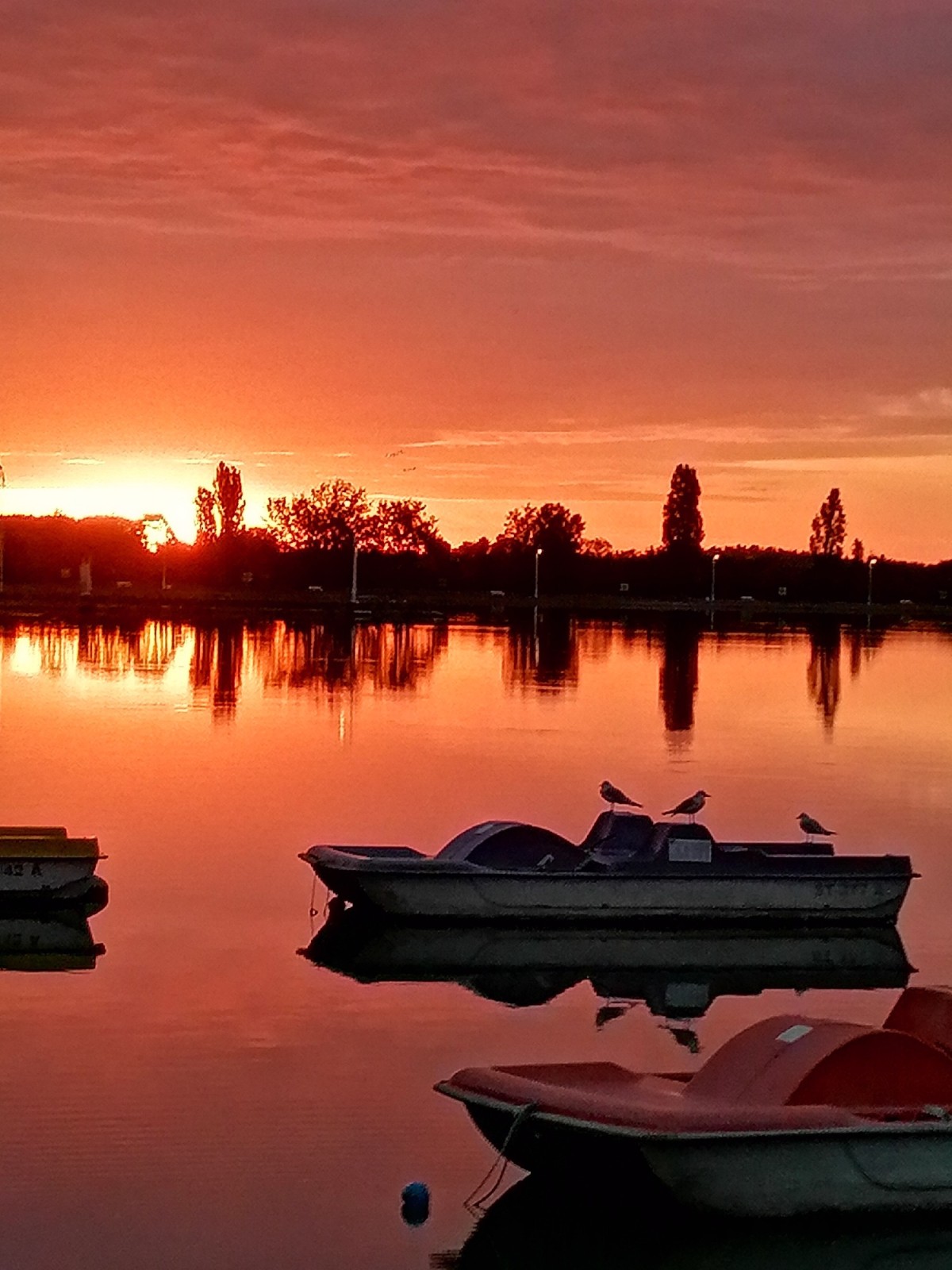 Sunrise over Lake Palic