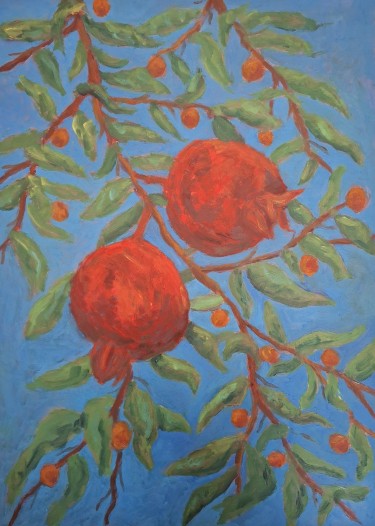 Pomegranate by Dimitrije  Paštar