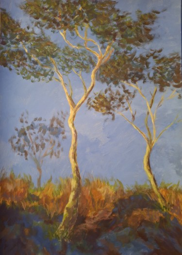 Eucalyptus by Dimitrije  Paštar