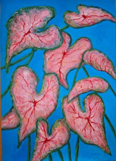 Caladium bicolor by Dimitrije  Paštar