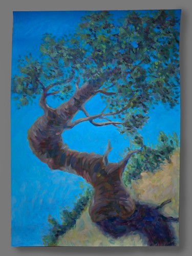 Twisted tree by Dimitrije  Paštar