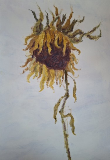 Sunflower by Dimitrije  Paštar