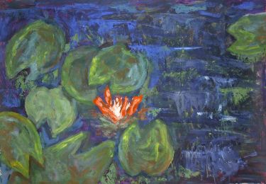water lilies by Dimitrije  Paštar