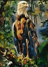 King of heights by vladislav milojevic