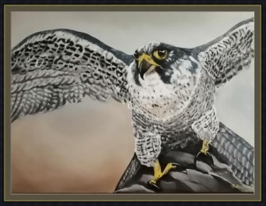 Falcon by Erika Korac