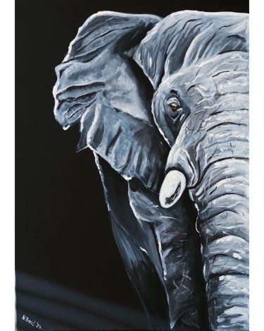 Blackwhite elephant by Nataša Devčić