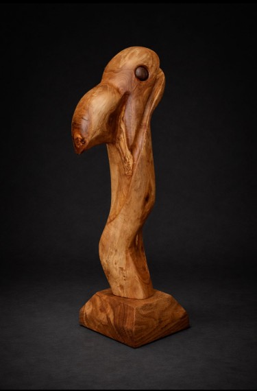 vulture by slobodan gavrilovic