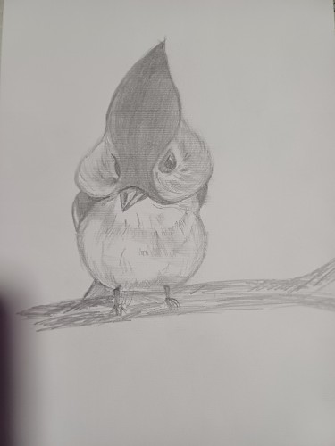 Bird by Jelena Pavlović