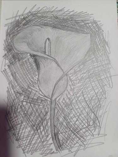 Flower by Jelena Pavlović