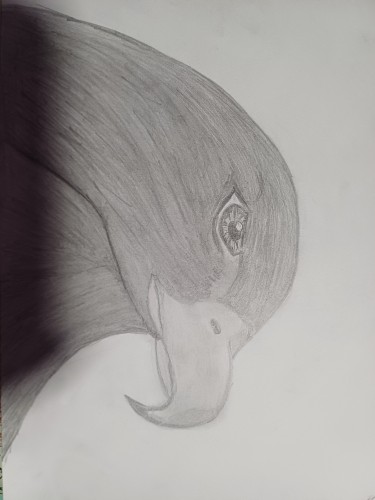 Bird by Jelena Pavlović