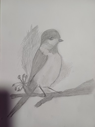 A bird on a branch by Jelena Pavlović