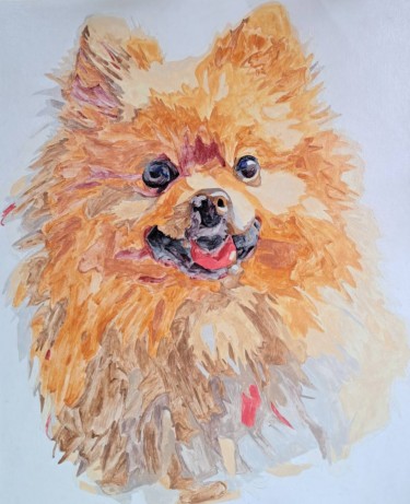 Pomeranian by Vera Mišić