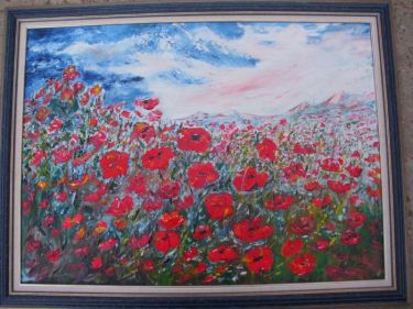 Feld poppies