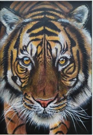Tiger by Jasmina Mincic