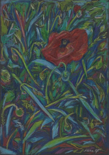Poppy in the Grass by Alina Gadomski Todorović