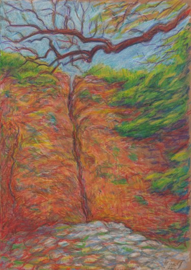 The Walls of Smederevo Fortress by Alina Gadomski Todorović