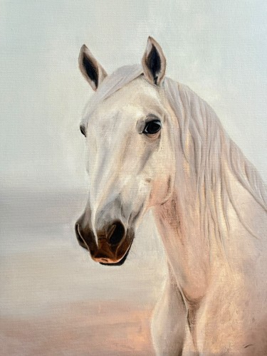 White horse by Marina Perosevic