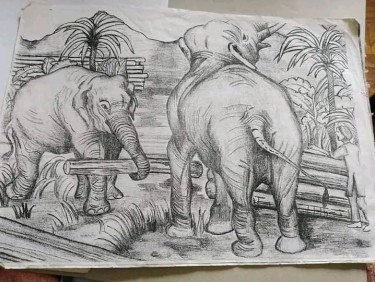 Africa by Sanja Vasev