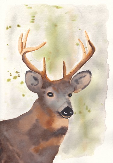 Deer by Marina Karanjac
