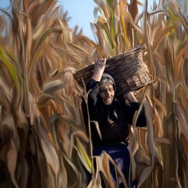 Corn harvest by Слободан Симић