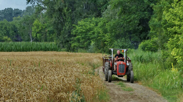 Rural landscape, with a tractor from the seventies of the last century by Слободан Симић