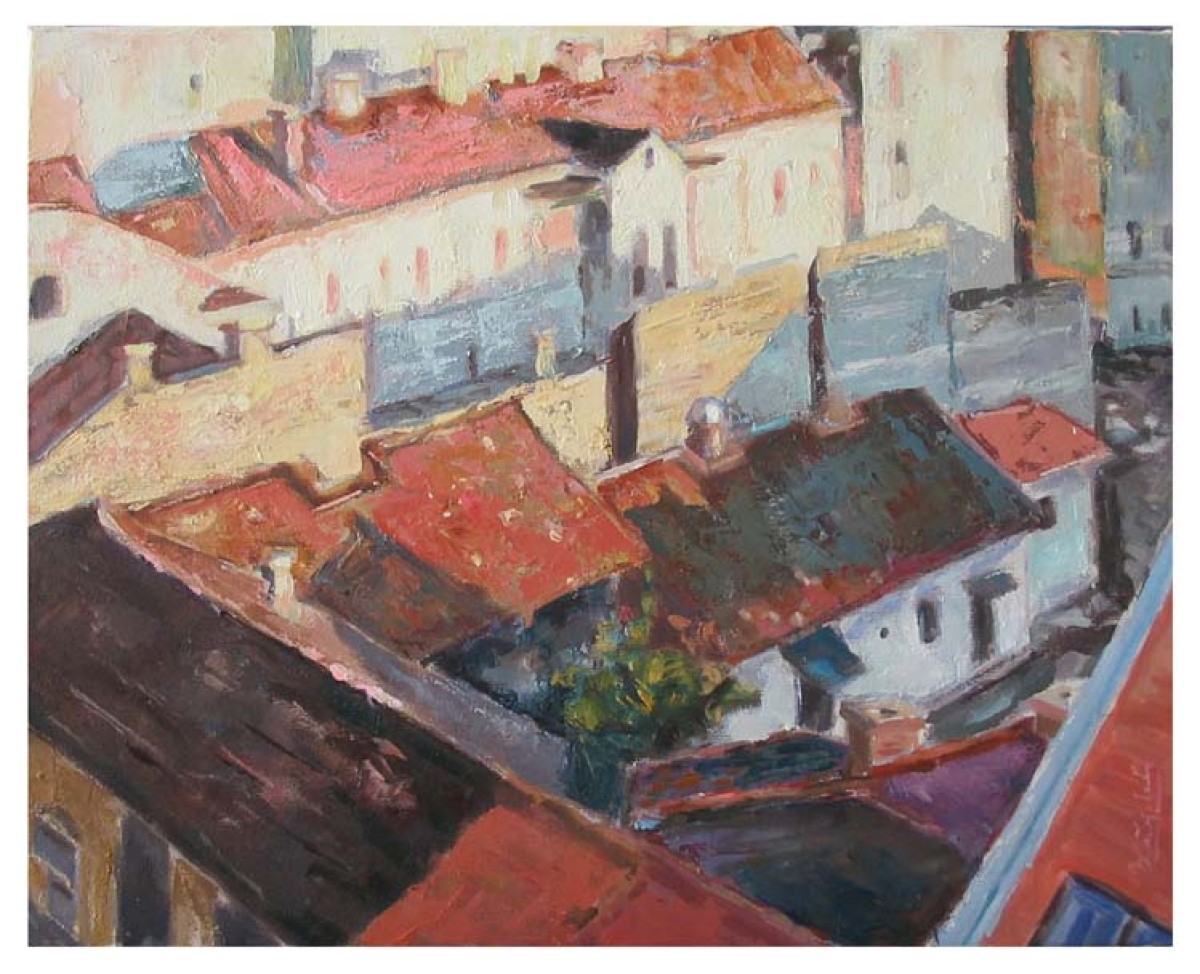 The Roofs of Savamala